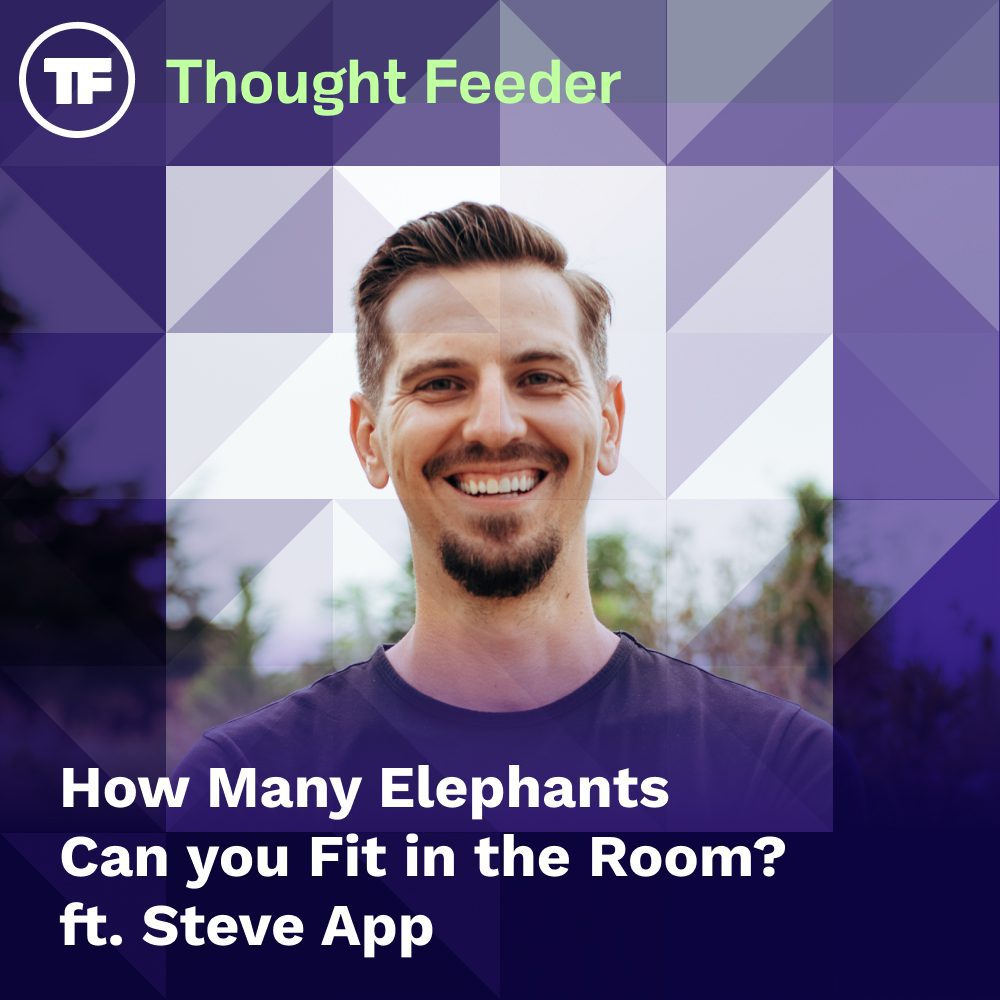 Thought Feeder social media photo for Episode 41. Guest Steve App's headshot is featured in a square image. White text reads "How many elephants can you fit in the room?"