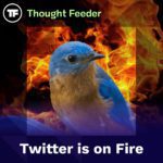 Thought Feeder Thought Feeder social media photo for Episode 47. A blue bird sits perched over a background on fire. White text reads “Twitter is on Fire.”