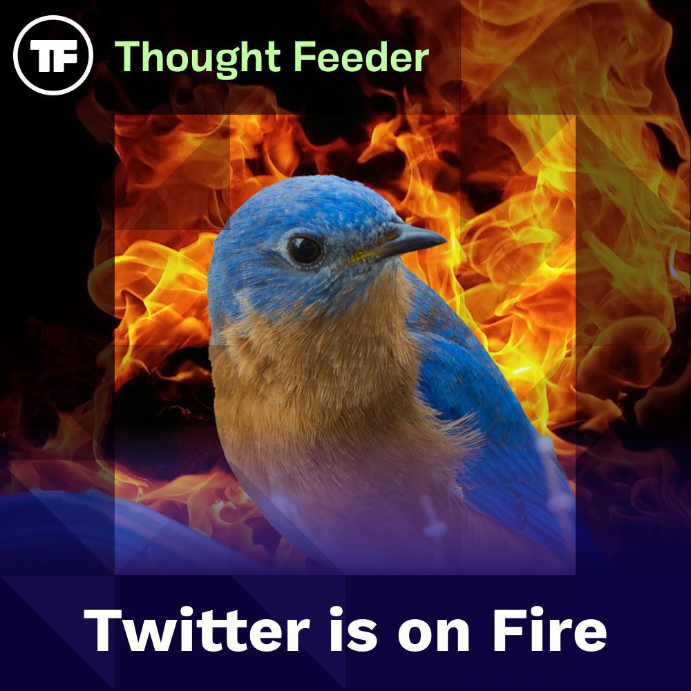Thought Feeder social media photo for Episode 47. A blue bird sits perched over a background on fire. White text reads “Twitter is on Fire.”